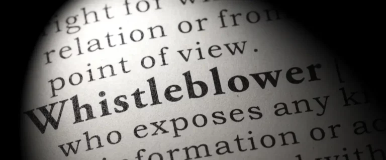 20160630 news website nl wet huis voor klokkenluiders het woord whistleblower in een boek