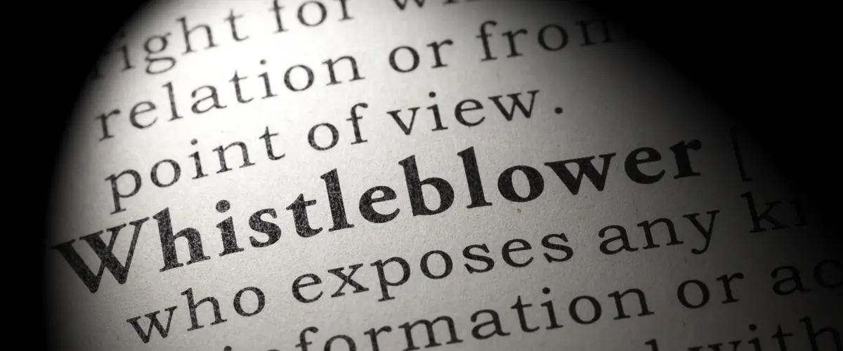 20160630 news website nl wet huis voor klokkenluiders het woord whistleblower in een boek